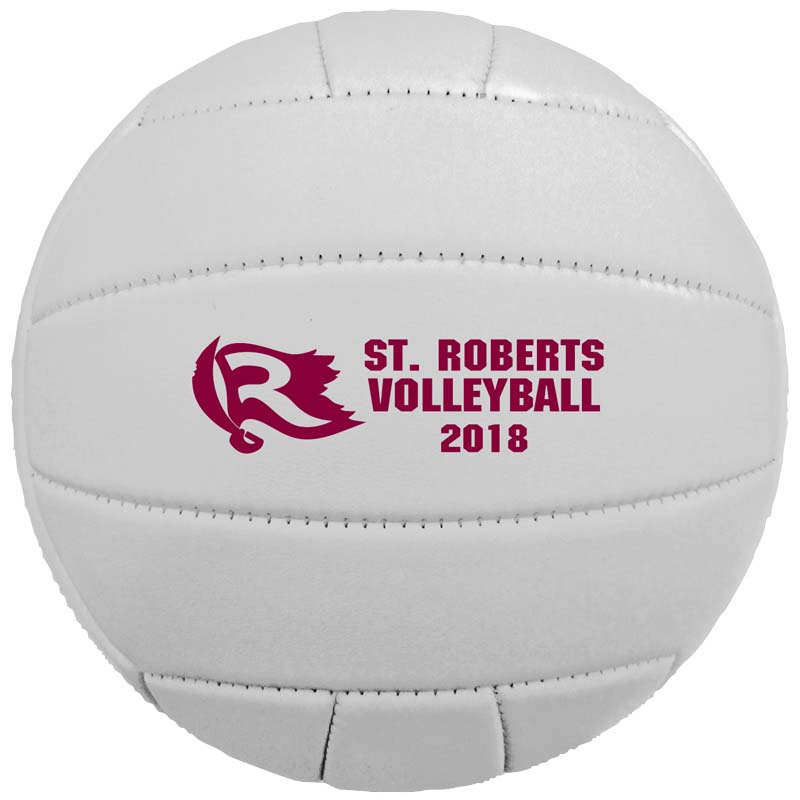 5" Synthetic Leather Mini Volleyballs