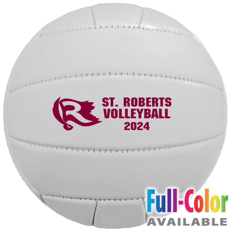 5" Synthetic Leather Mini Volleyballs