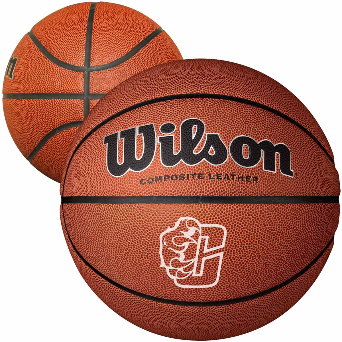 9" Wilson Composite Leather Basketballs (Full-Size)