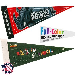 Felt Pennant, Full-Color (5" x 12") - Felt Strip Pennant (5 inch x 12 inch) Four Color Process Imprint