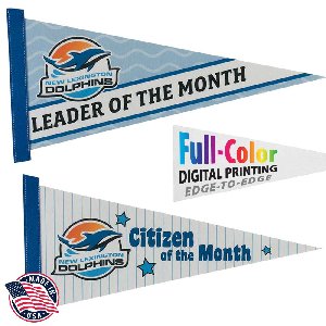 Felt Pennant, Full-Color (8" x 18") - Felt Strip Pennant (8 inch x 18 inch) Four Color Process Imprint